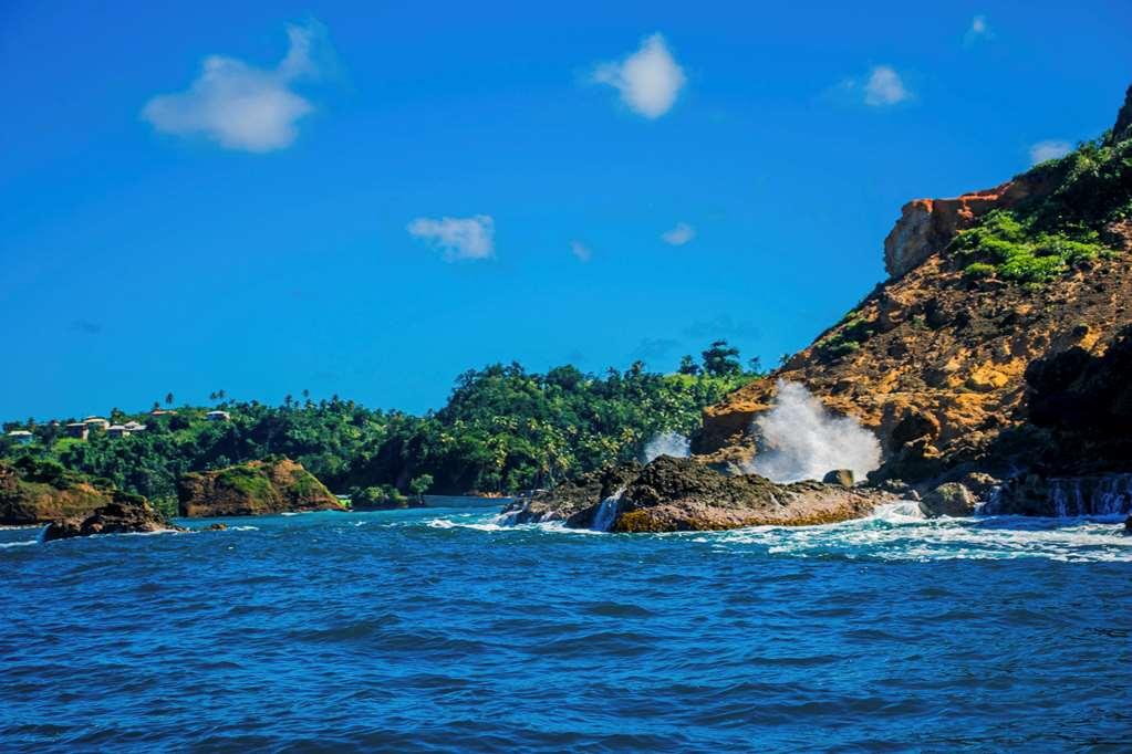 Atlantique View Resort And Spa, Ascend Hotel Collection Saint Andrew 便利设施 照片